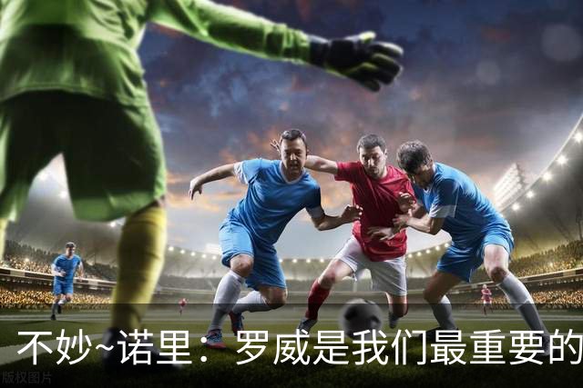 不妙~诺里：罗威是我们最重要的拼图 他和克林根能提供48分钟护筐