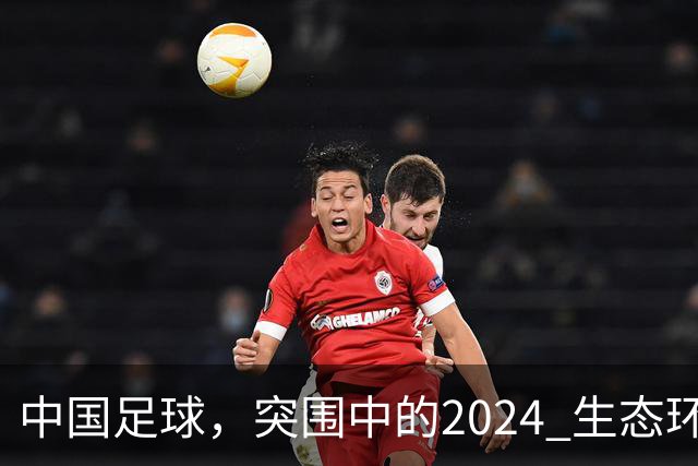 中国足球，突围中的2024 生态环境将实现好转