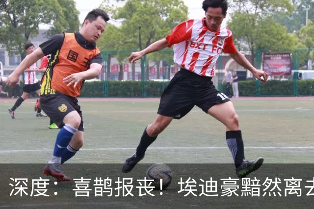 深度：喜鹊报丧！埃迪豪黯然离去 大病纽卡一地鸡毛