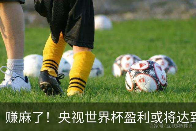 赚麻了！央视世界杯盈利或将达到50-60亿元人民币